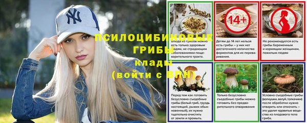 гидра Волоколамск
