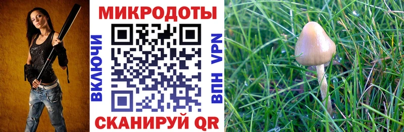 Купить закладки  Калининец  Галлюциногенные грибы Magic Shrooms 